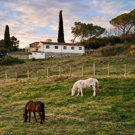 Orizzonte Casa Pallini
