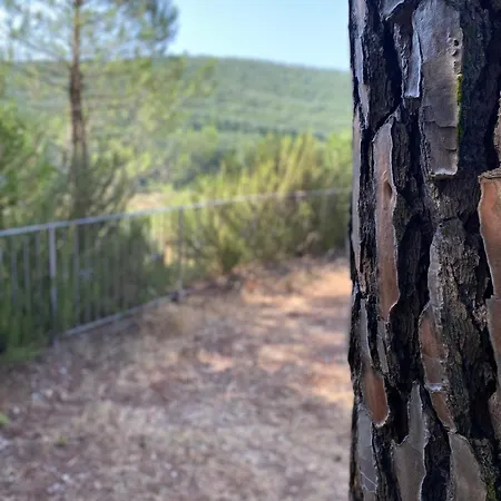 Apartamento Orizzonte *