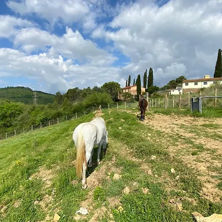 Apartamento Orizzonte Casa Pallini