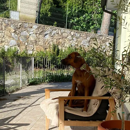 Apartment Orizzonte Casa Pallini
